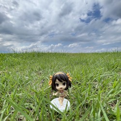 NISHINOMIYA NORTH HIGH SCHOOL GIRL DISTORTIONAL ADDICT