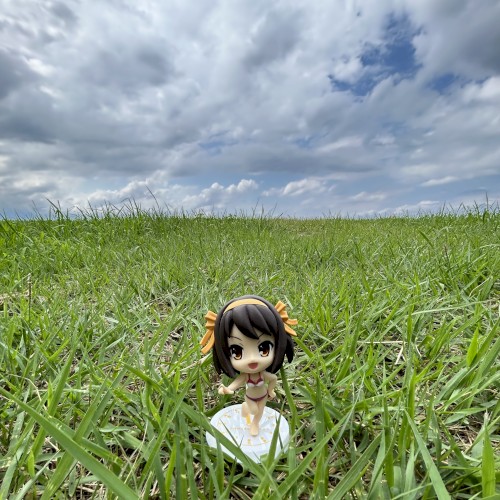 NISHINOMIYA NORTH HIGH SCHOOL GIRL DISTORTIONAL ADDICT