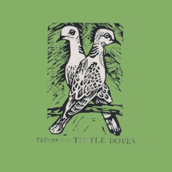 Turtle Doves