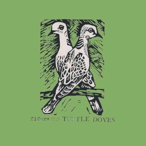 Turtle Doves