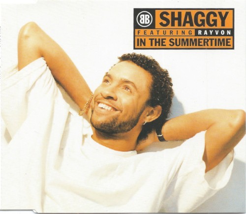In the Summertime