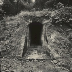 The Bunker
