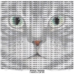 I Have A Cat EP
