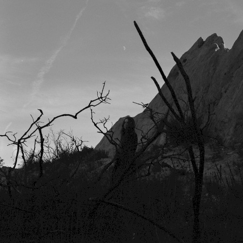 Orpheus Looking Back