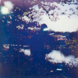 vestiges of time