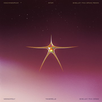 Star (Shelley FKA DRAM remix)