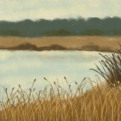 Lake From the Childhood