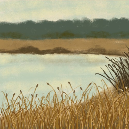 Lake From the Childhood