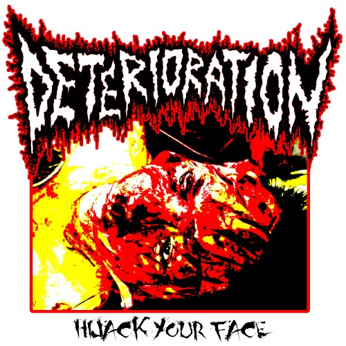 Hijack Your Face