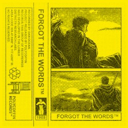 Forgot the Words