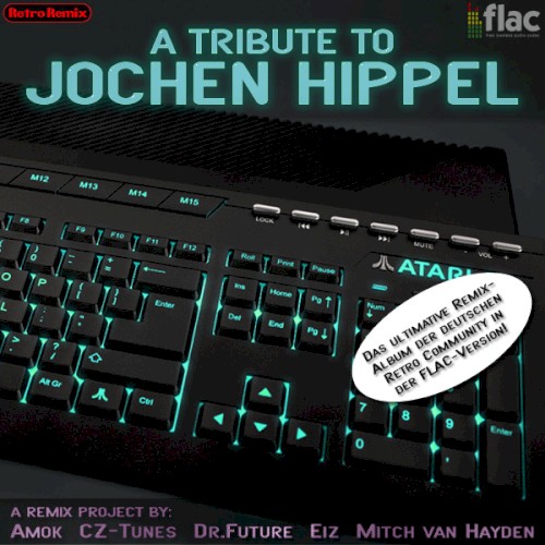 A Tribute to Jochen Hippel