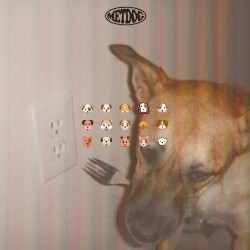 Certified Lover Dog