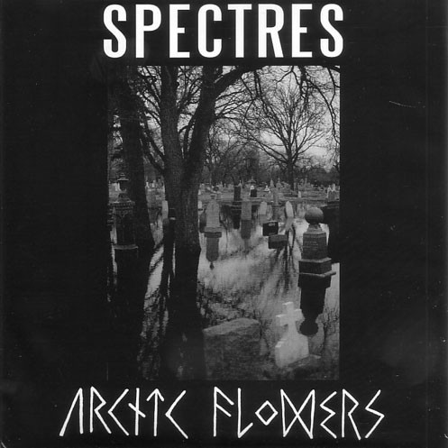 Spectres / Arctic Flowers