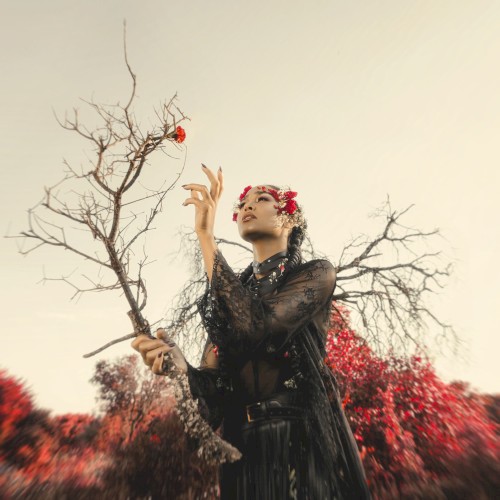 I’m a Monster