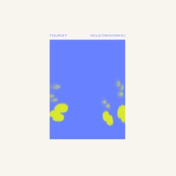 Wild (Reworks)