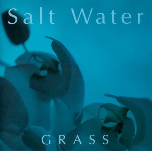 Salt Water