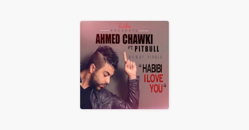 Habibi I Love You