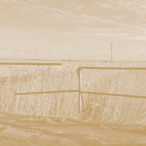 Long Drove