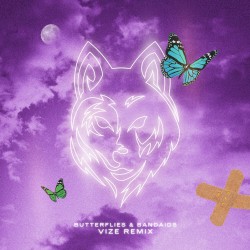 Butterflies & Bandaids (VIZE remix)