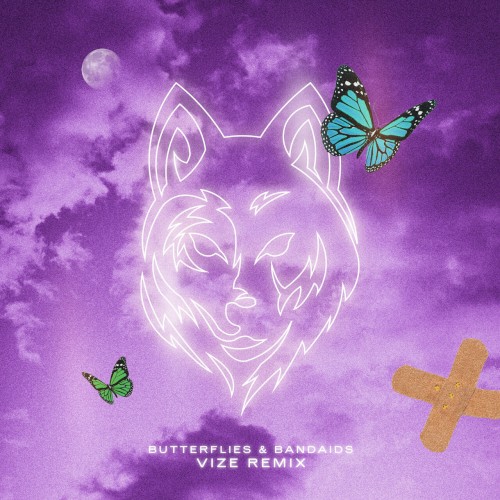 Butterflies & Bandaids (VIZE remix)