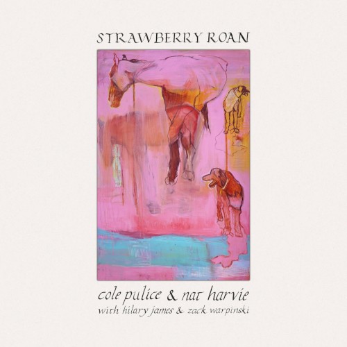 Strawberry Roan