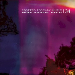 34 - Free Ambient Electronic Sampler