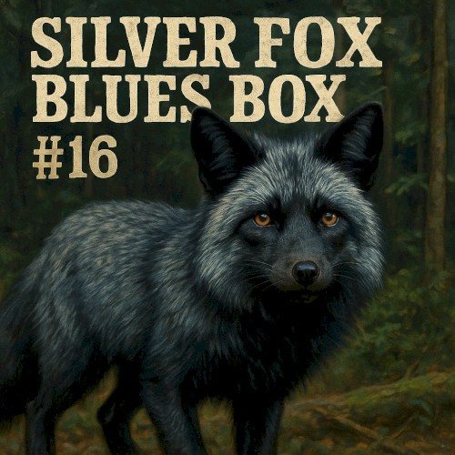 Silver Fox Blues Box 16