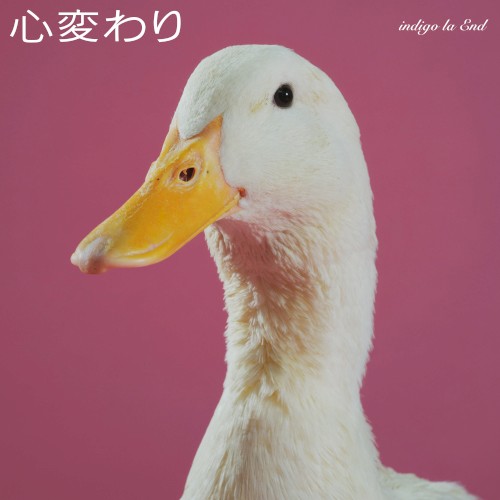 Kokoro Gawari