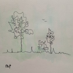 Forgotten Pine Trails II
