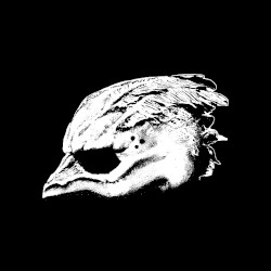 Legend of the Seagullmen