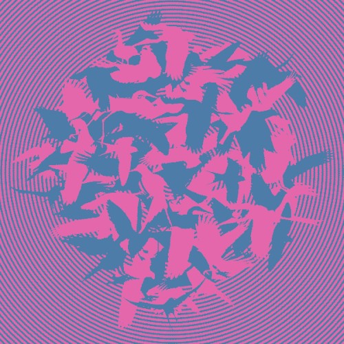 The Momentary Aviary