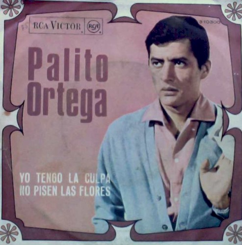 Yo tengo la culpa