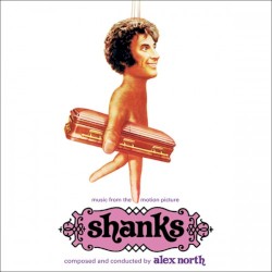 Shanks