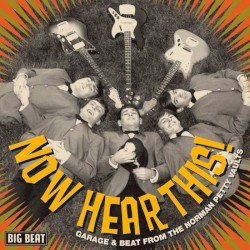Now Hear This! Garage & Beat From The Norman Petty Vaults