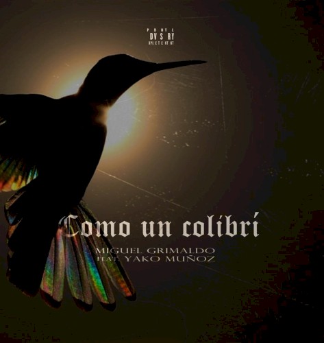 Como un colibrí