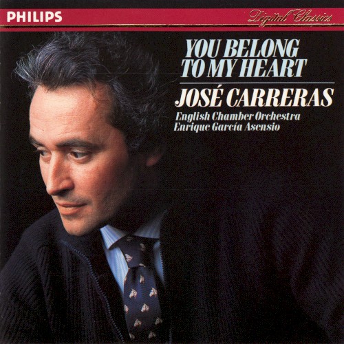 You Belong to My Heart