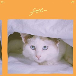 Fool