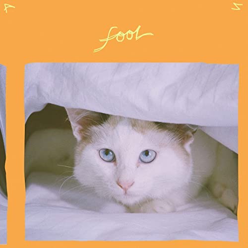 Fool