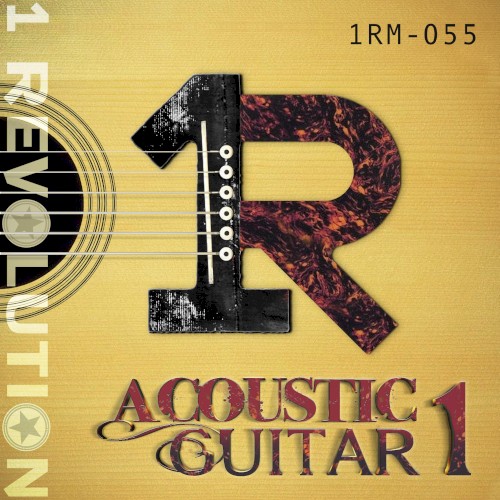 Acoustic Guitar