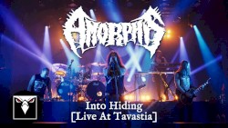 Into Hiding