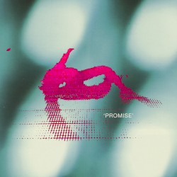 Promise