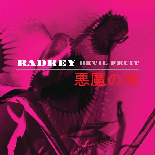 Devil Fruit