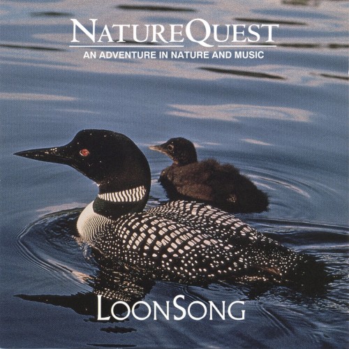 Loon Song