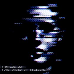 The Ghost of Silicon