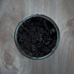 Terra