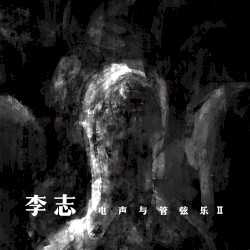 李志、电声与管弦乐II