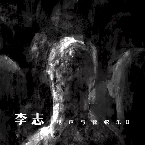 李志、电声与管弦乐II