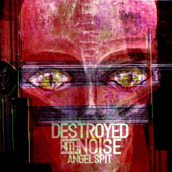 Destroyed With Noise