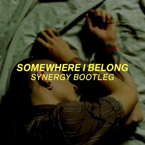 Somewhere I Belong (Synergy bootleg)