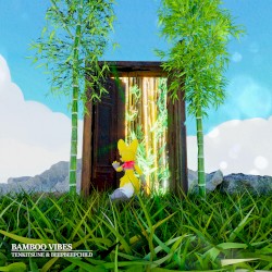 Bamboo Vibes